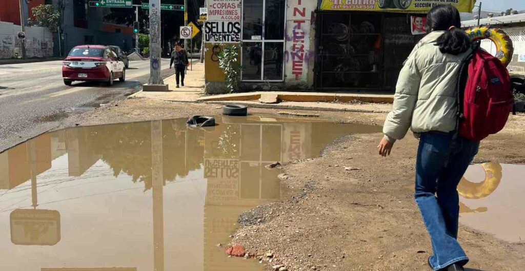 Los Casos De Dengue En M Xico Suman M S De Mil En Los Primeros Seis